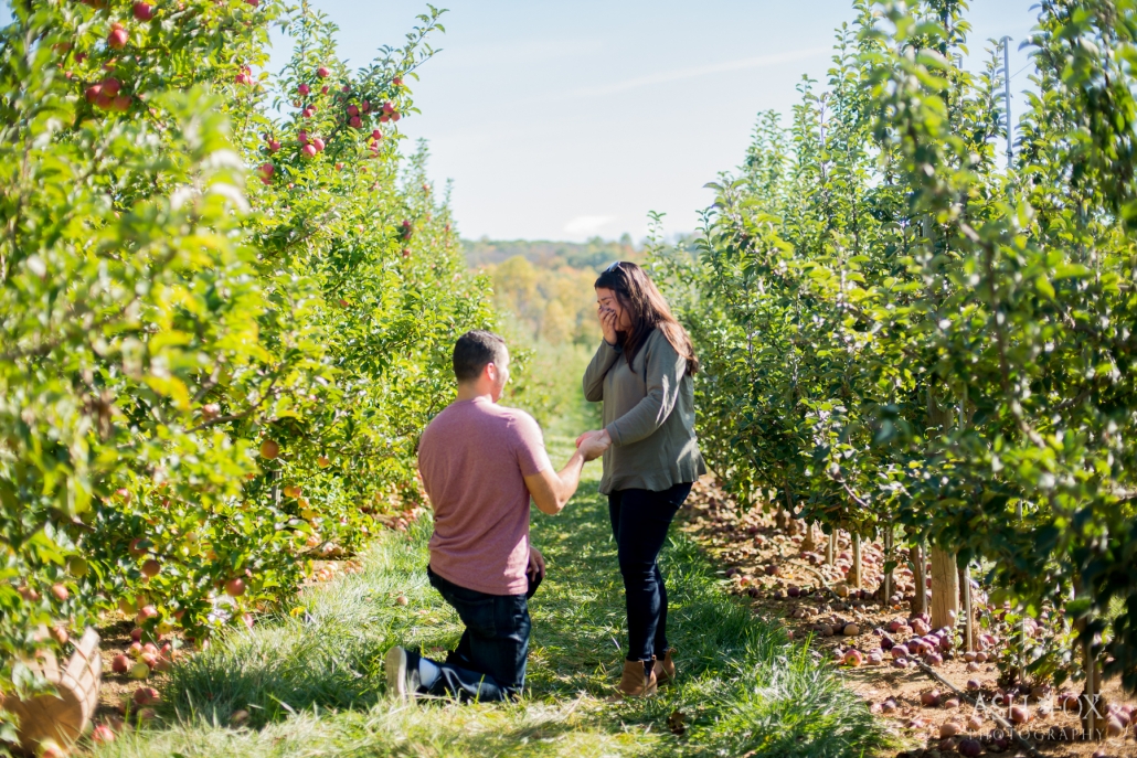 proposal in an orchard