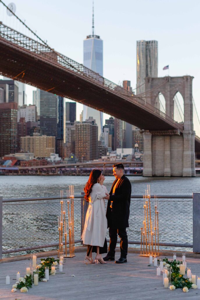 Dumbo New York City Skyline Proposal 